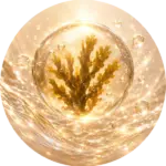 Kalpariane™
